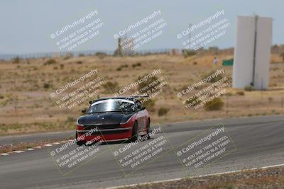 media/May-03-2025-Lucky Dog Racing (Sat) [[206de64b9d]]/Turn 6 (150pm-230pm)/